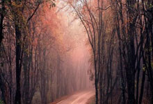 国际奥委会第144次全会举行会前新闻发布会.