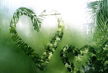 麦克朗NBA扣篮大赛三连冠,拿到奖金31万美元超NBA生涯收入九派新闻.