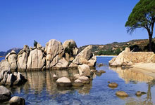 亚冬会 | 哈尔滨热企用“暖”护航亚冬会新华网.